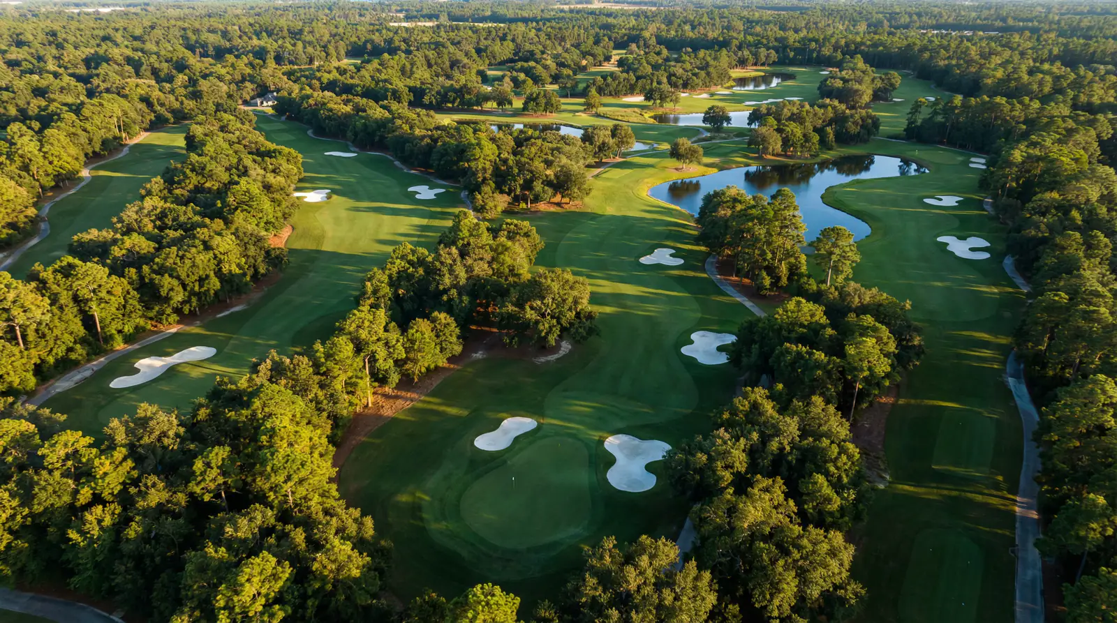 Vista aérea de un campo de golf con fairways, bunkers y greens bien definidos